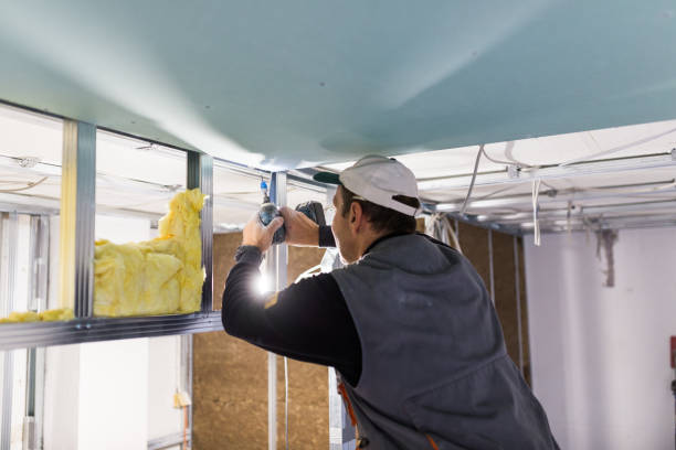 Best Garage Insulation Installation  in Farmland, IN